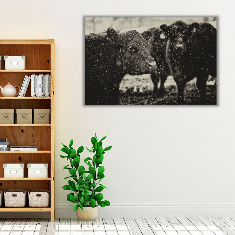«Its Snowing Black and White», reproduction d'art sur toile, H 16 po x l 24 po