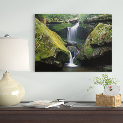 " Cascade Near Grotto Falls, Great Smoky Mountains National Park, Tennessee " by Tim Fitzharris