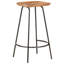 Casias Counter Stool with Metal Frame-366801365