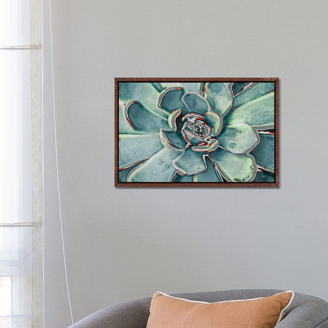 Teal Succulent von Susan Bryant - Galerie-verpackte Leinwand Giclée auf Leinwand