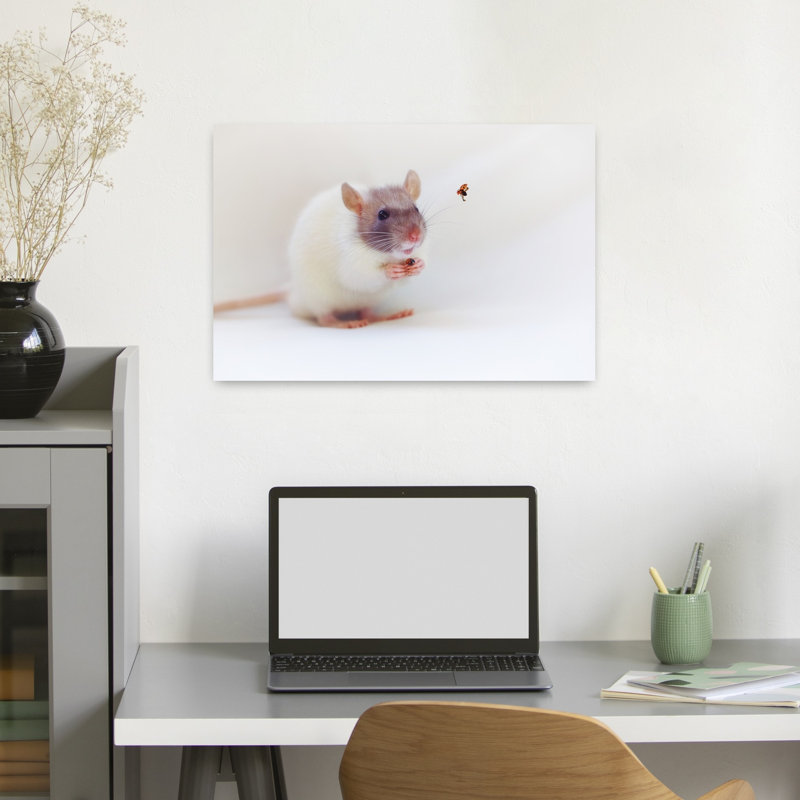 Gentle Rat And Ladybug Playful Contemporary Ladybug Nature Wildlife Wall Art Print by Ellen van Deelen - 1 Piece Wrapped Canvas Wall Art