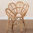 Briette 29.5'' Rattan Wide Armchair
