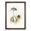 Bouke's Grass Parakeets by Elizabeth Gould - Picture Frame Painting Print-55512745-55512751