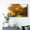 " Maple Tree Drive " Color Photography Print