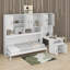 Lit escamotable simple avec placard, tiroirs et bureau