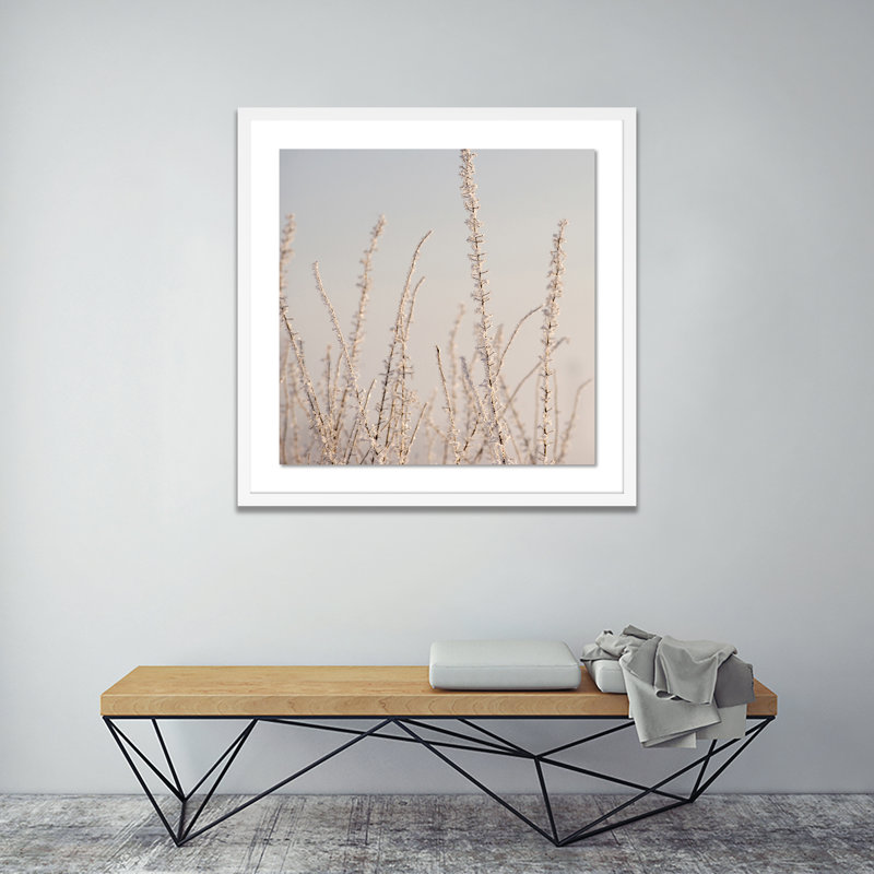 Hoar Frost White Print by Pernille Westh, White, 24" H x 24" W x 1.5" D