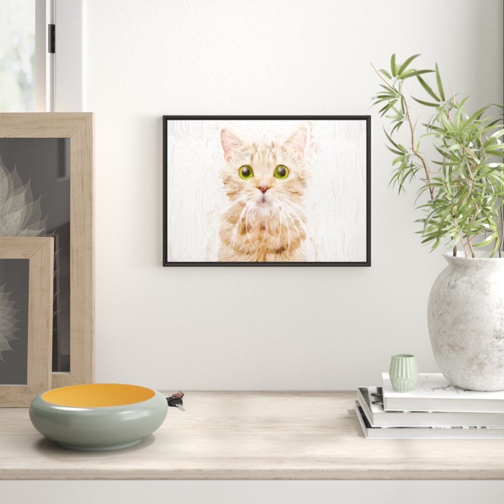 Gerahmtes Wandbild Katze Scottish Straight