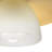 Glass Flush Mount-346679486