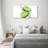 Limes And Water - No Frame Print on Canvas