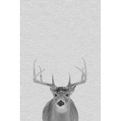 Grey Deer II - Wrapped Canvas Print