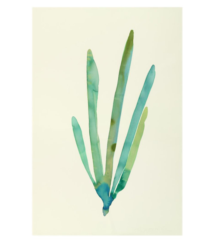 Plants " Plants VI " by Hable Construction, Glass Coat, 45" H x 30" W