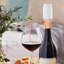 Distributeur automatique de bouteilles de vin Jahanna