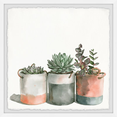 « cactus variétés »-ensemble de 2 reproductions d’art encadrées sur papier