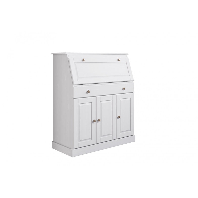 Dinardo Solid Wood 3 - Door Rectangle Accent Cabinet, White
