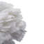 Breasia Ceramic Table Lamp
