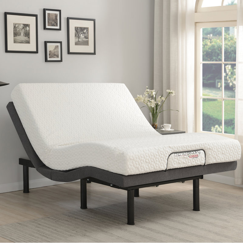 Darwen Massaging Zero Gravity Adjustable Bed with Wireless Remote, Twin XL