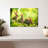 Rabbits By The Meadow-107499705