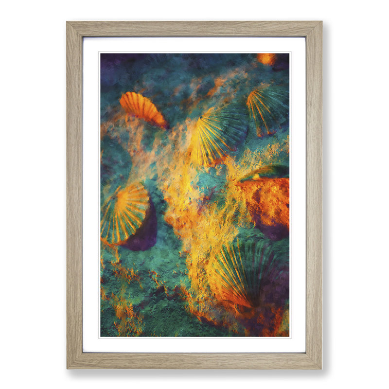 Shells on the Beach Vo.1 - Picture Frame Graphic Art, 36cm H x 27cm W x 2cm D, Oak Framed