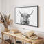 Impression sur toile Highland Bull I-100690030