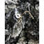 Tapis ikat gris Mitzy-2018979513
