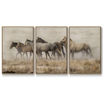 " Roaming Free " 3 - Pieces