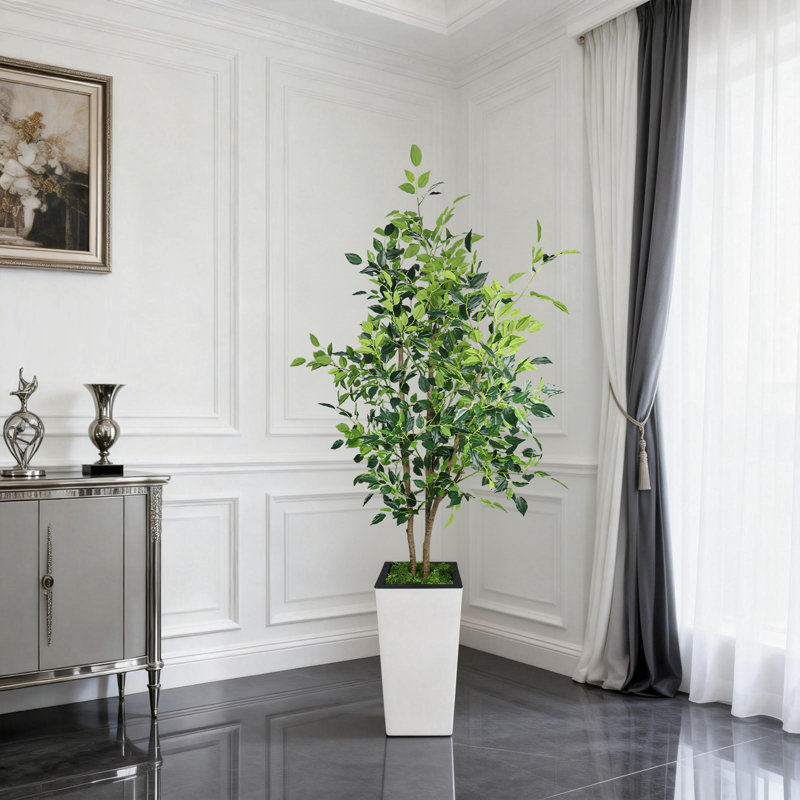 Ficus benjamin artificiel 6 pi Evergreen, 72 po x 9 po