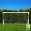 Net World Sports-128496932