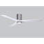 Irene LED Ceiling Fan-40164446-24425153-99192944