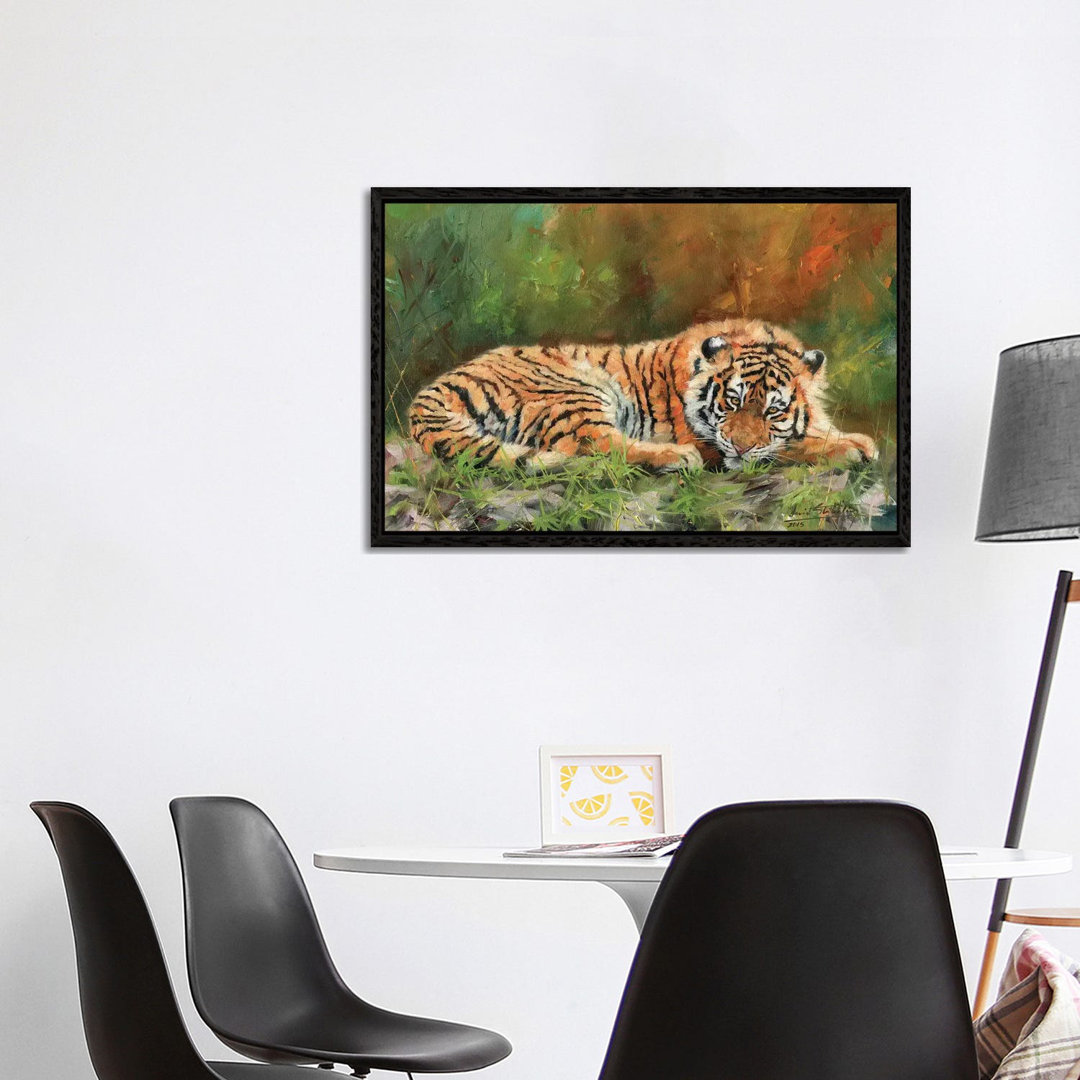 Amur Tiger Repose von David Stribbling - Gallery-Wrapped Canvas Giclée on Canvas