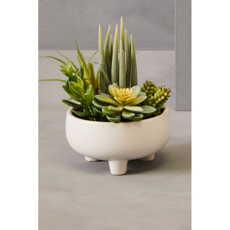 24cm Faux Succulent in Ceramic Pot