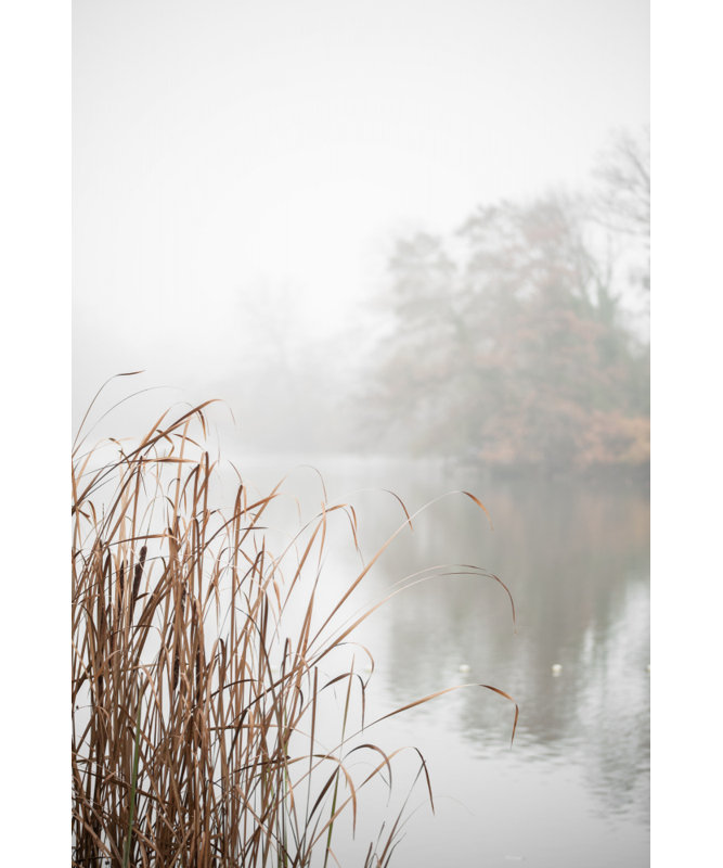 Wrapped Canvas Print, 76.2 cm H x 50.8 cm W