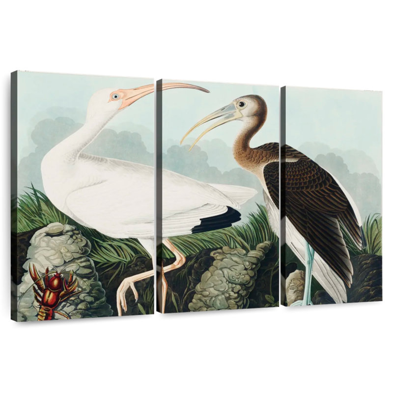 Brampt White Ibis, 32" H x 50" W