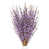 Purple is out of stock