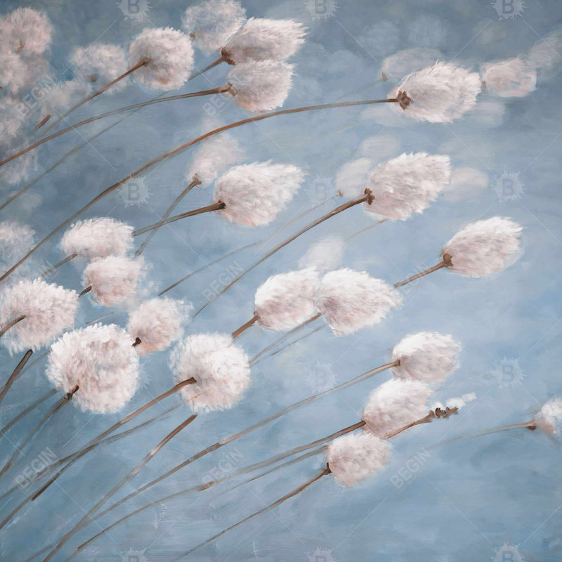 " Delicate Cotton Flowers "