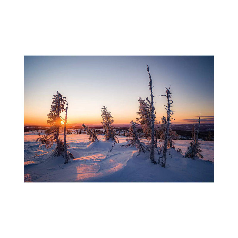 Winterlandscape by Anders Jorulf - Wrapped Canvas Print, 30.48 cm H x 45.72 cm W