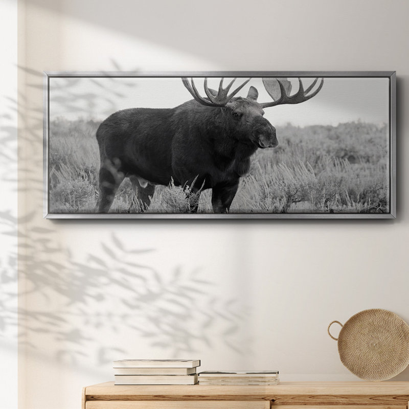 Grand Teton Bull Moose - toile encadrée, H 8 po x l 20 po