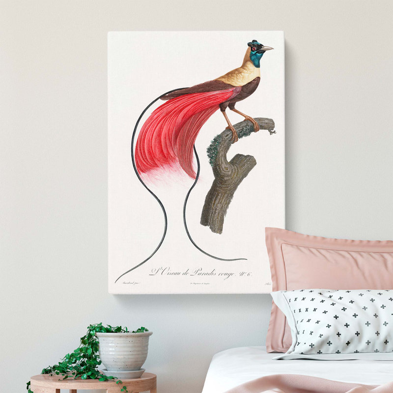 Bird Of Paradise by Jacques Barraband - Wrapped Canvas, 50cm H x 35cm W x 3cm D
