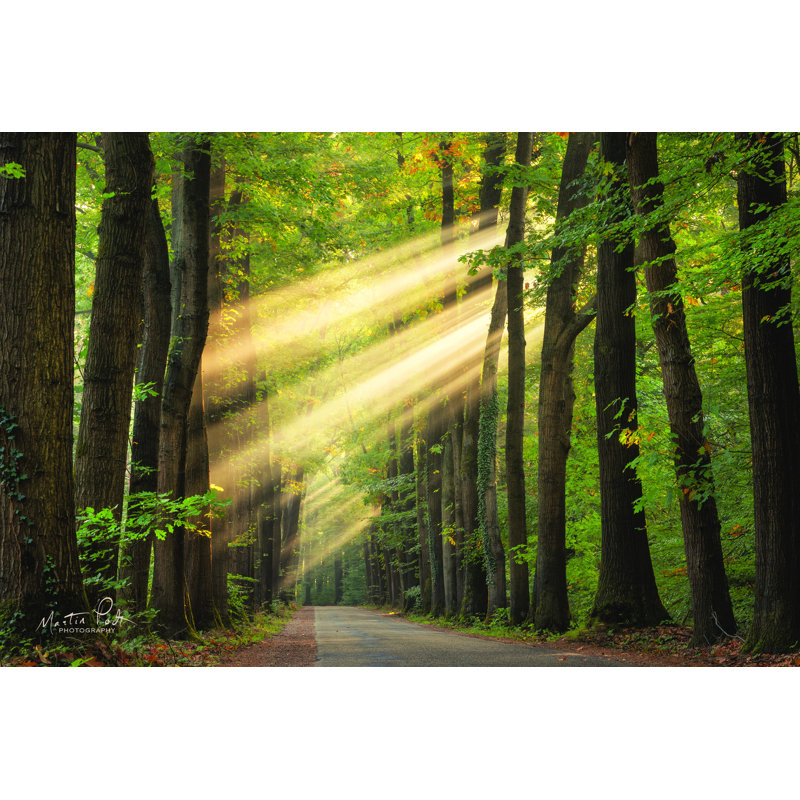 Rayzor Light par Martin Podt - reproduction, H 8 po x l 12 po, Toile tendue
