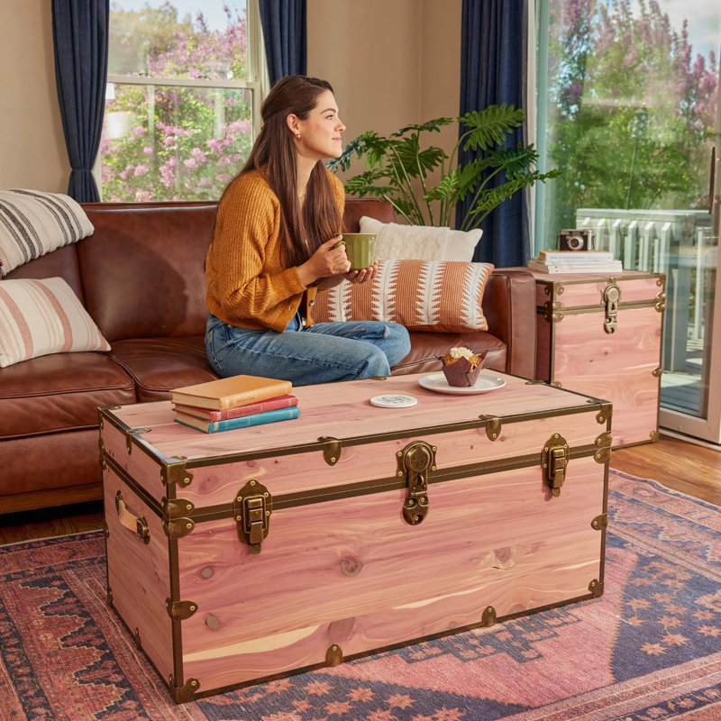 Coffre Rhino Knoty Cedar 3X, Doré, H 18 po x L 20 po x l 40 po