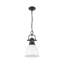 Luminaire suspendu 1 lumière avec chaîne Cajoux-107150048-107150057-107150050