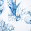 Majorca Fabric