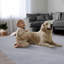 Schnabel Solid Colour Area Rug-1345825078