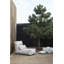 Repose-pieds d'extérieur STAY-545066498