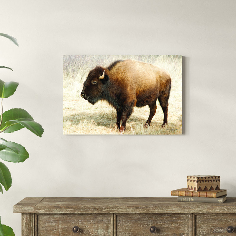 Bison d'Amérique III, H 20 po x l 30 po
