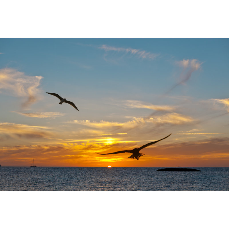 Two Seagulls At The Sunset by LdF - Wrapped Canvas Print, 81cm H x 122cm W
