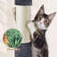 Arbre à chat 33 "Mcquiston-1181027456