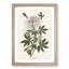 Ruff-Necked Hummingbirds by John James Audubon - Picture Frame Graphic Art Print-55610612-55610613