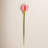 Calla Lilies Arrangement-29312063
