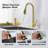 NOVEL Pull Down Kitchen Faucet-88959103