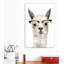 Hip Llama IV par Victoria Borges - impression d'art graphique-53043780-53043779-53043786